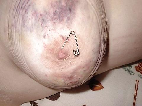 7P Meisenfolterschwein