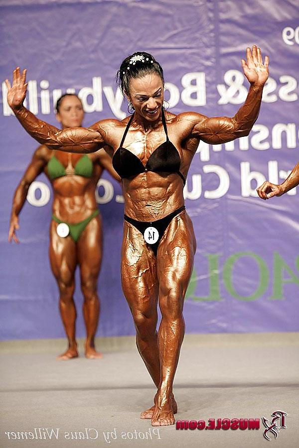 25P More shredded FBB