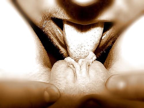 25P Erotic Art of Kissing a Pussy - Session 1