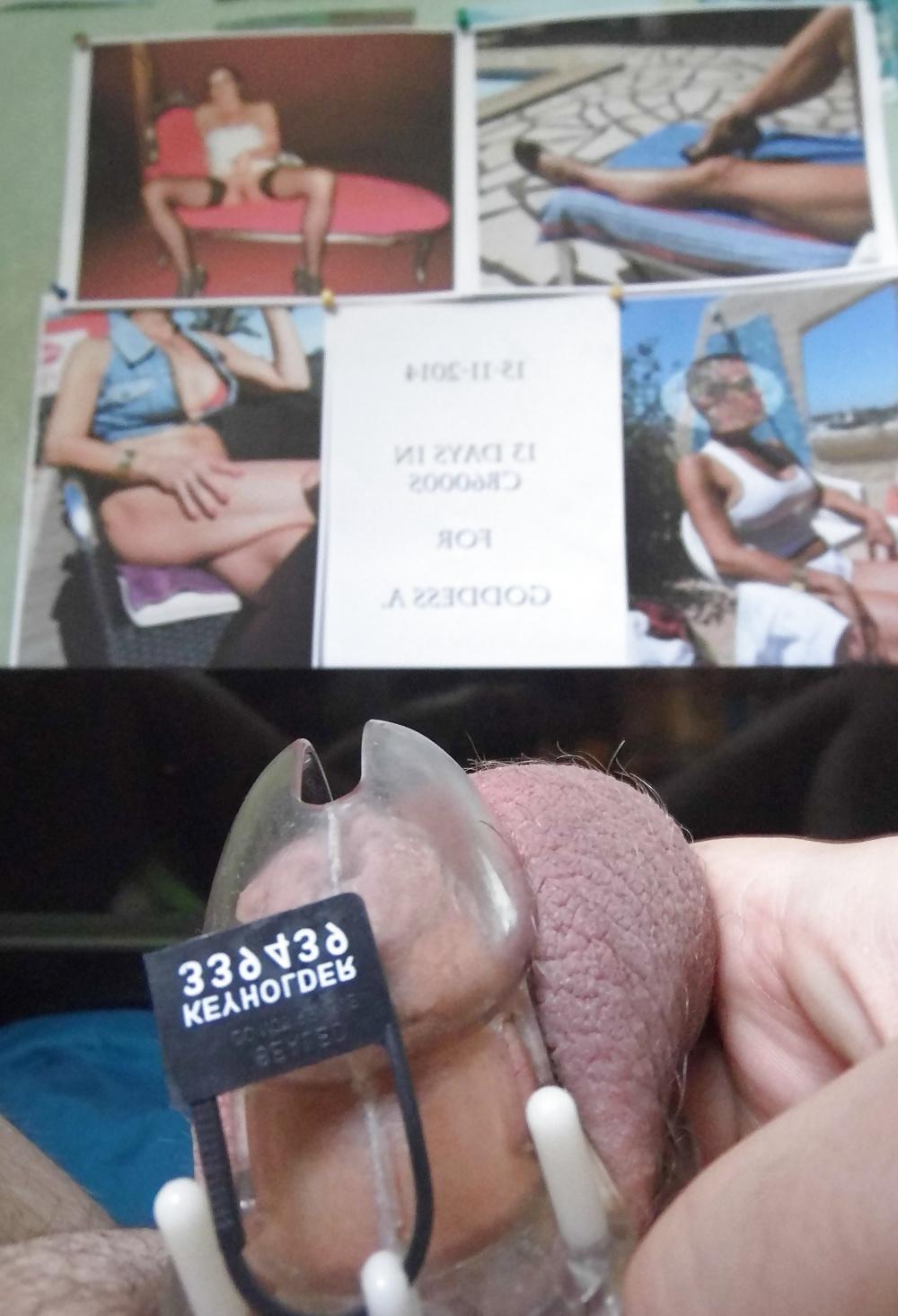 17P CB6000s chastity for Goddess A.