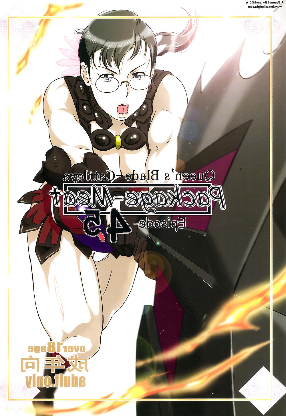 25P Package Meat 4.5 - Queen's Blade