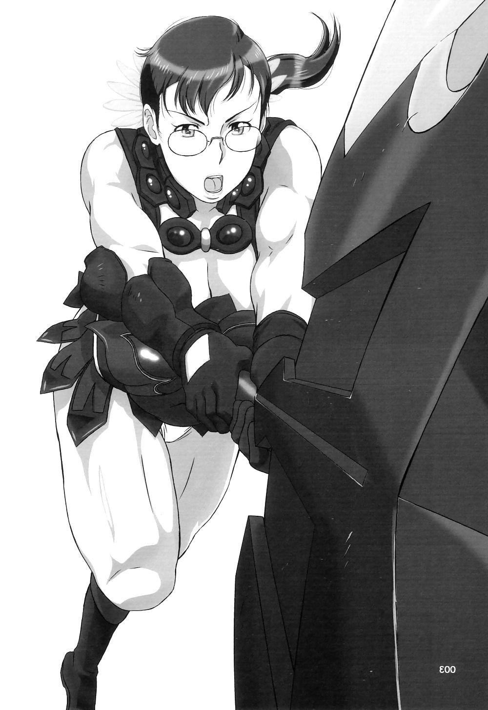 25P Package Meat 4.5 - Queen's Blade
