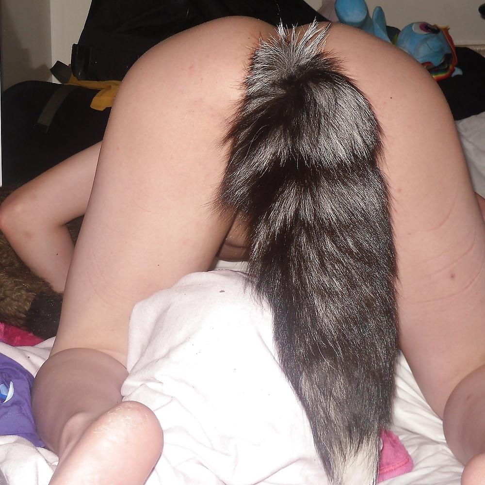 25P Tail plugs II
