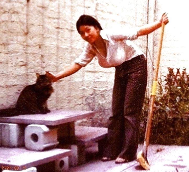6P Chinese wife 2
