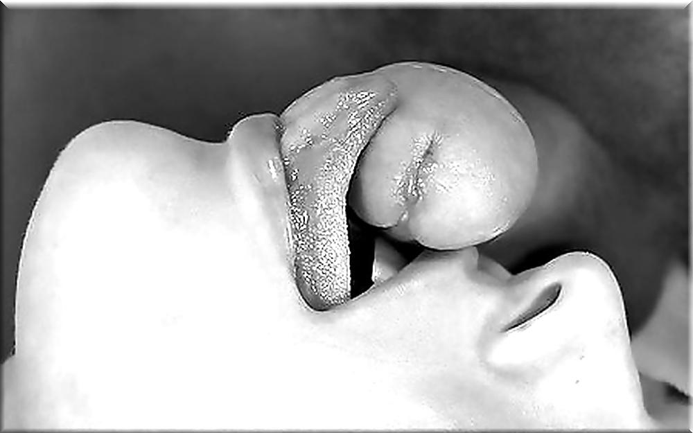 24P Lion's: Pure Erotic Art! (2)