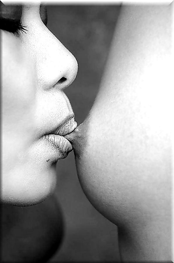 24P Lion's: Pure Erotic Art! (2)