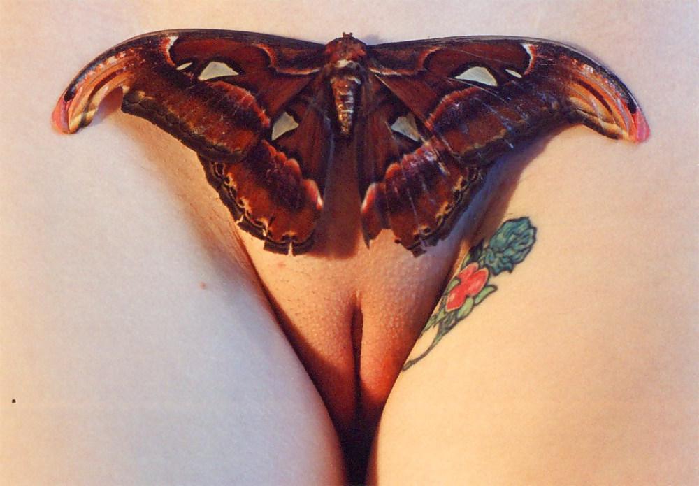 25P Vaginal jewelry and art (pretty pussies)
