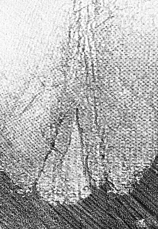 21P Sketch Art Pics of Italian MILF Mature Wife