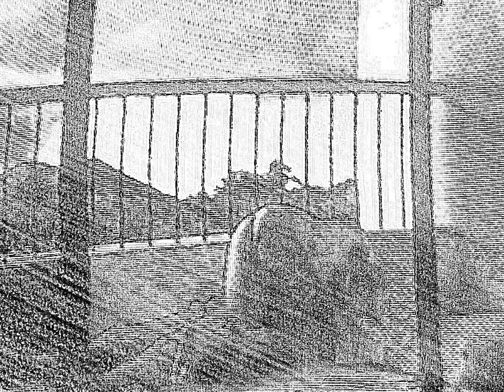 21P Sketch Art Pics of Italian MILF Mature Wife