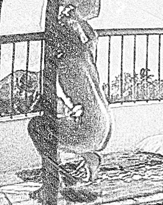 21P Sketch Art Pics of Italian MILF Mature Wife