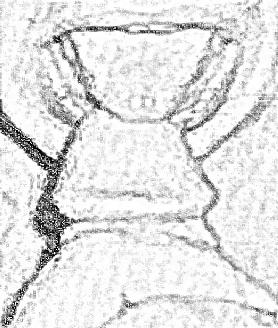 21P Sketch Art Pics of Italian MILF Mature Wife