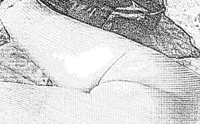 21P Sketch Art Pics of Italian MILF Mature Wife