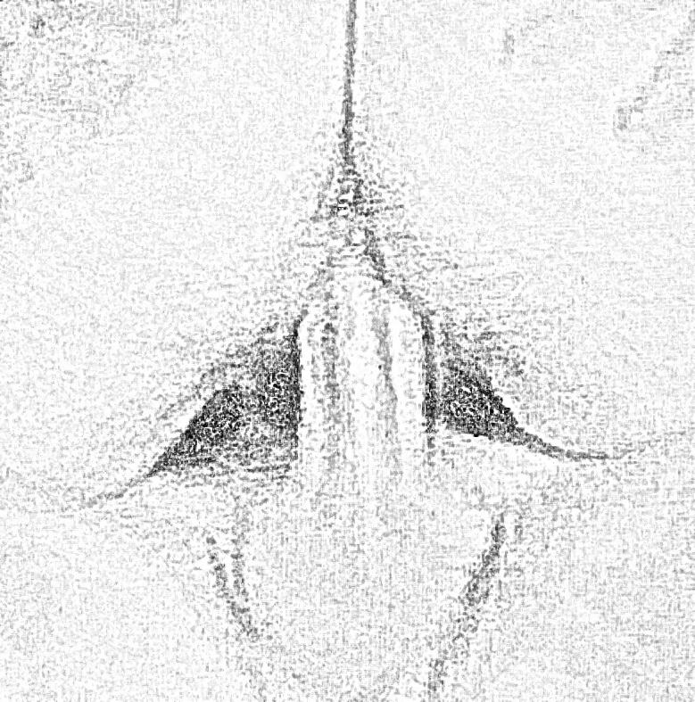 21P Sketch Art Pics of Italian MILF Mature Wife