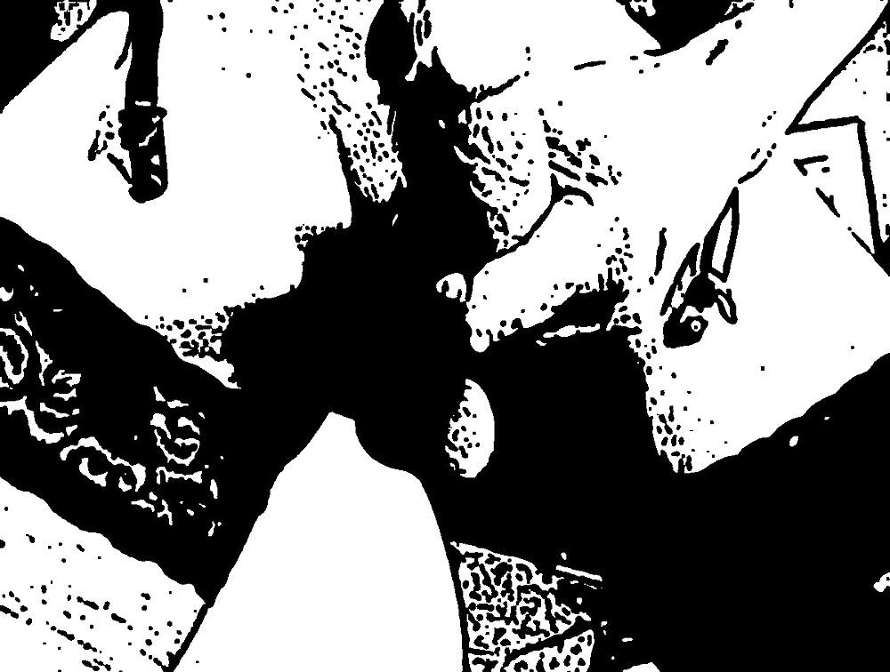 13P Shemale ART