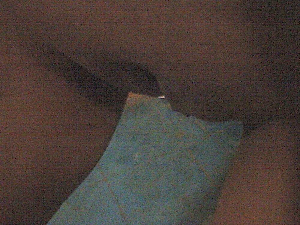 16P Latina bitch 2