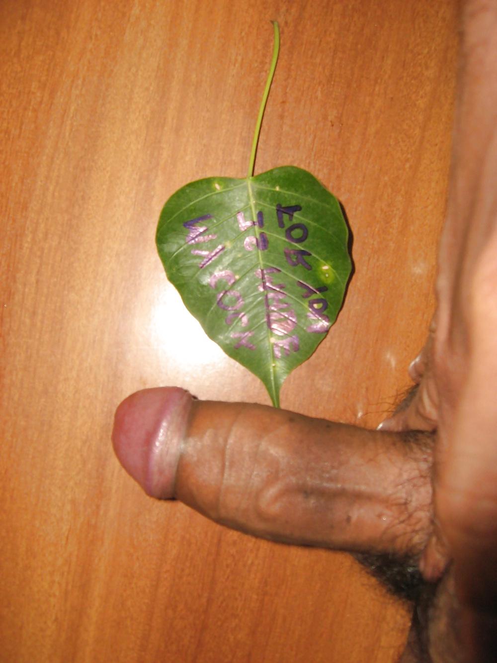 12P Play with my cock