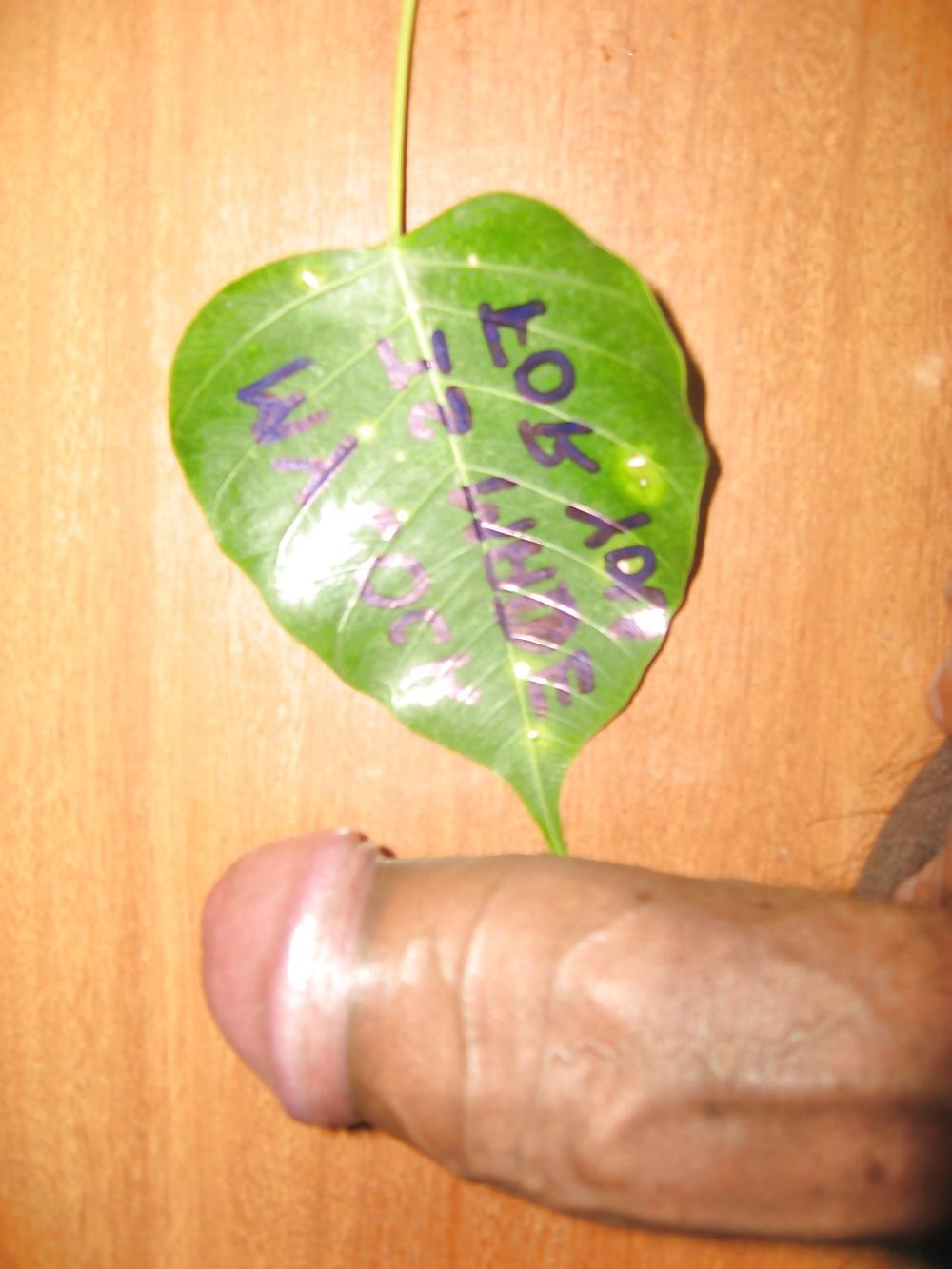 12P Play with my cock