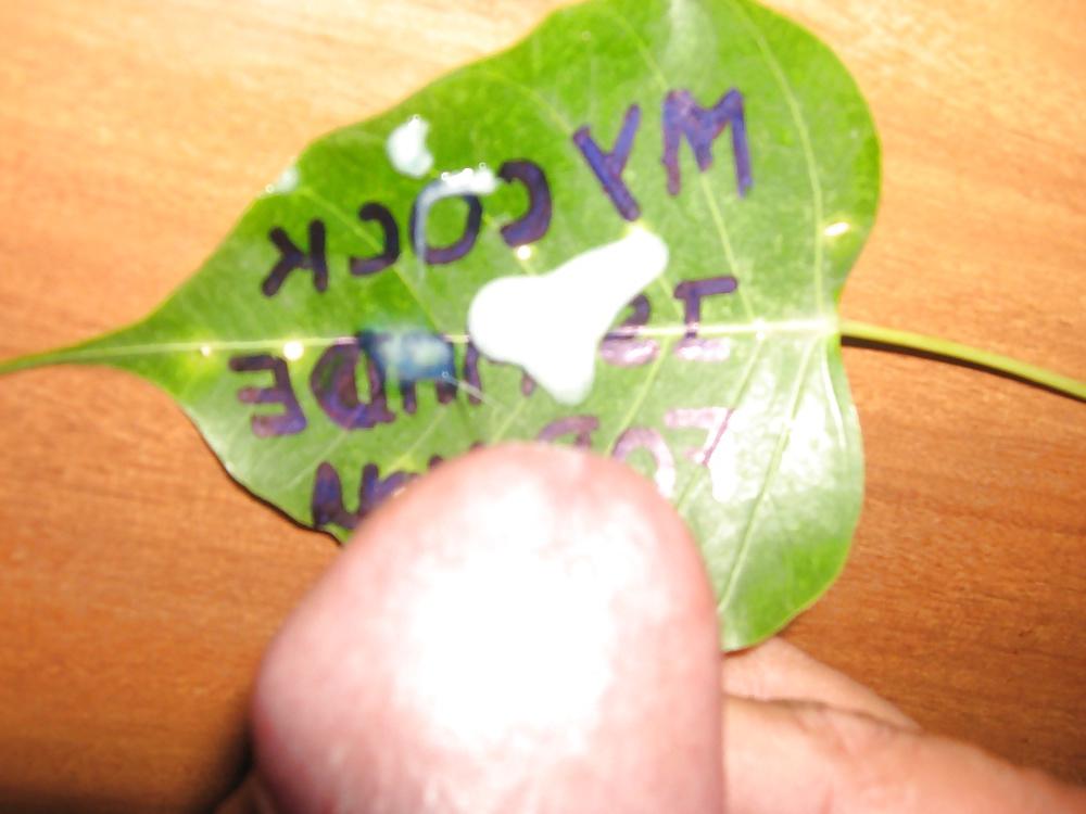 12P Play with my cock