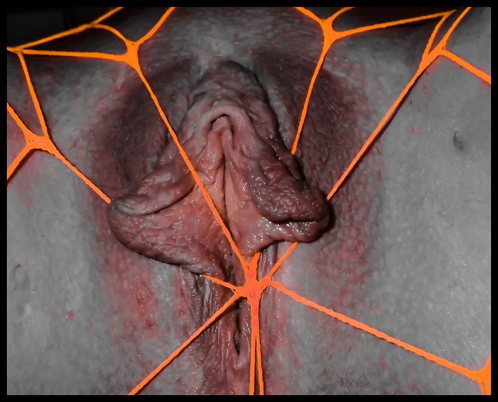 10P Sexy sushi nude and porn art