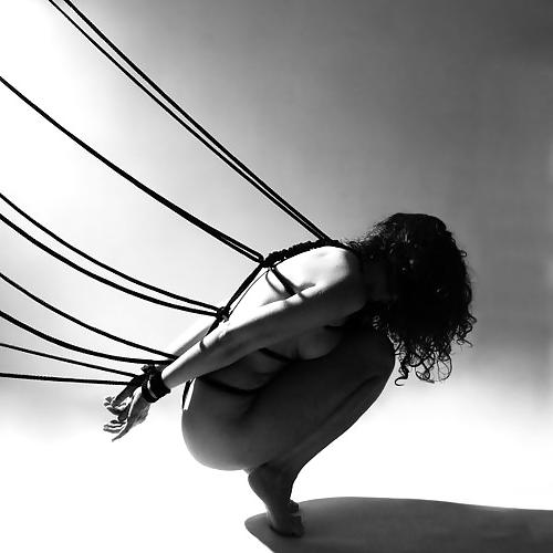 24P Bondage art .....