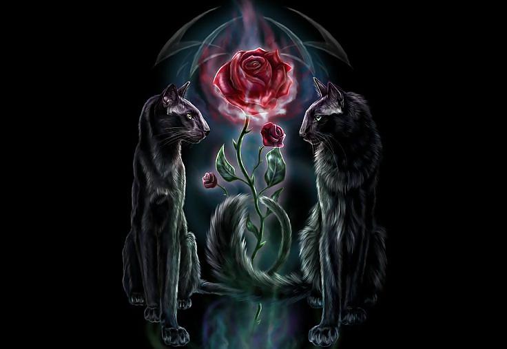 25P The Great Art of Anne Stokes...to a very special person