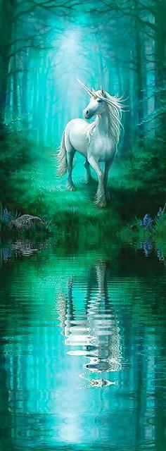 25P The Great Art of Anne Stokes...to a very special person
