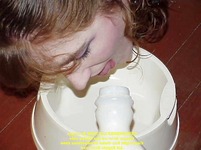 25P Ginger Cohf 2 (dog bitch)