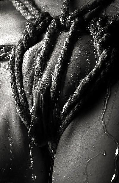25P Bondage art ....
