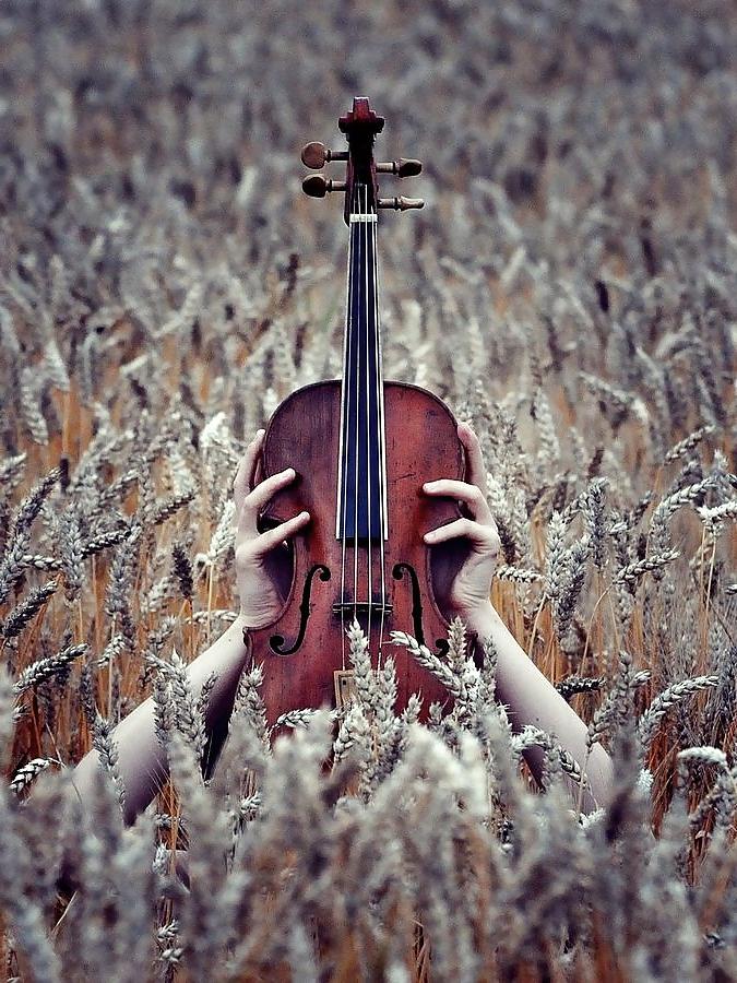 16P Music....