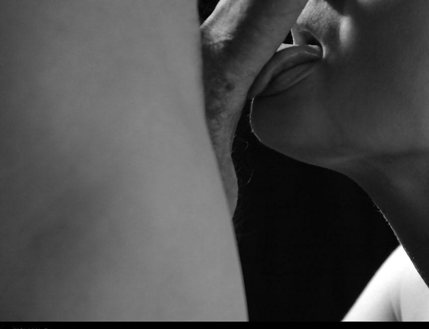 19P Artistic Study in Cocksucking