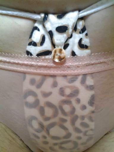 24P Sanitary belt