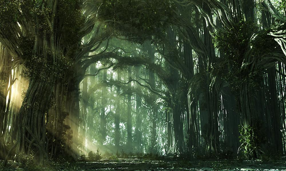 25P Nature Fantasy Art (Innerworld)