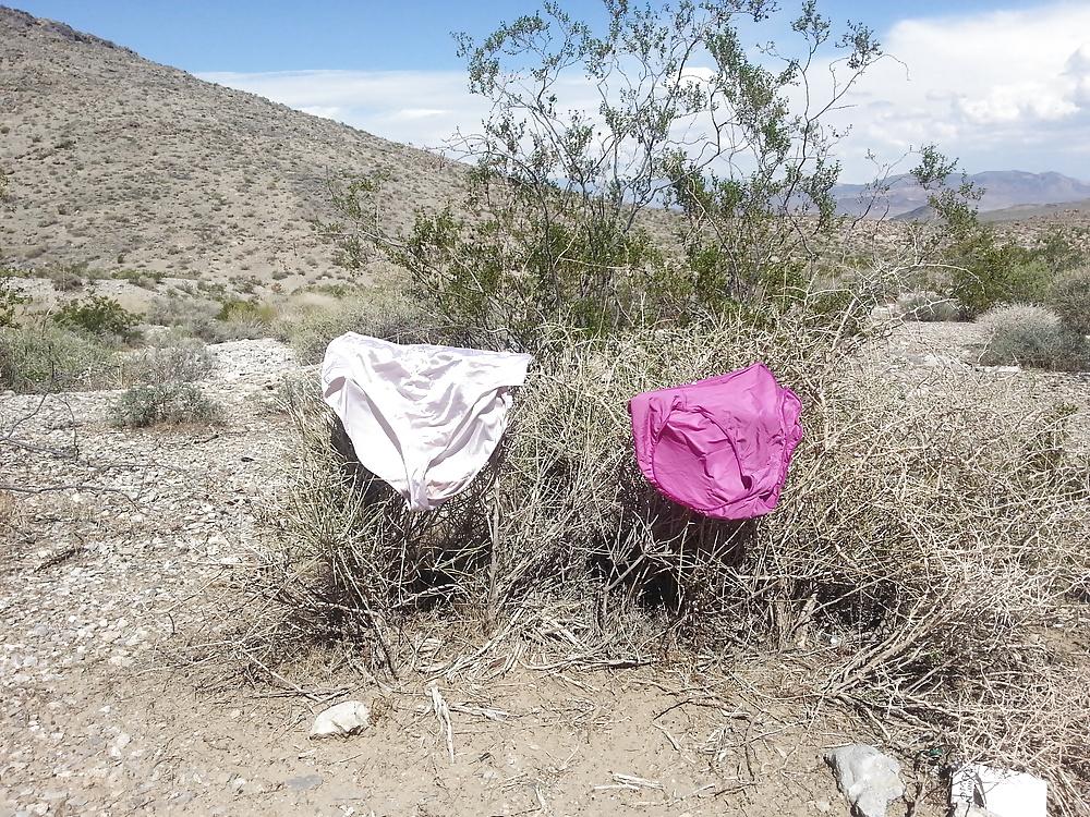 25P Items found in my desert travels 