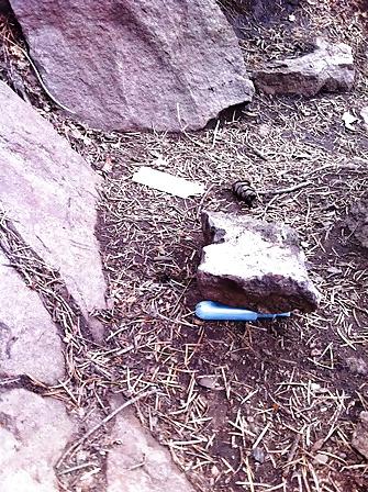 25P Items found in my desert travels 