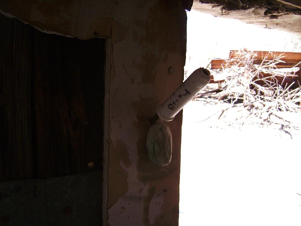 25P Items found in my desert travels 