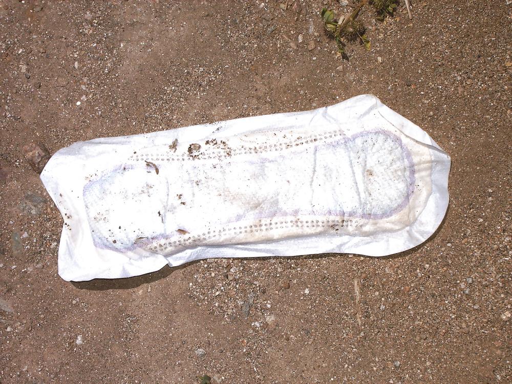 25P Items found in my desert travels 