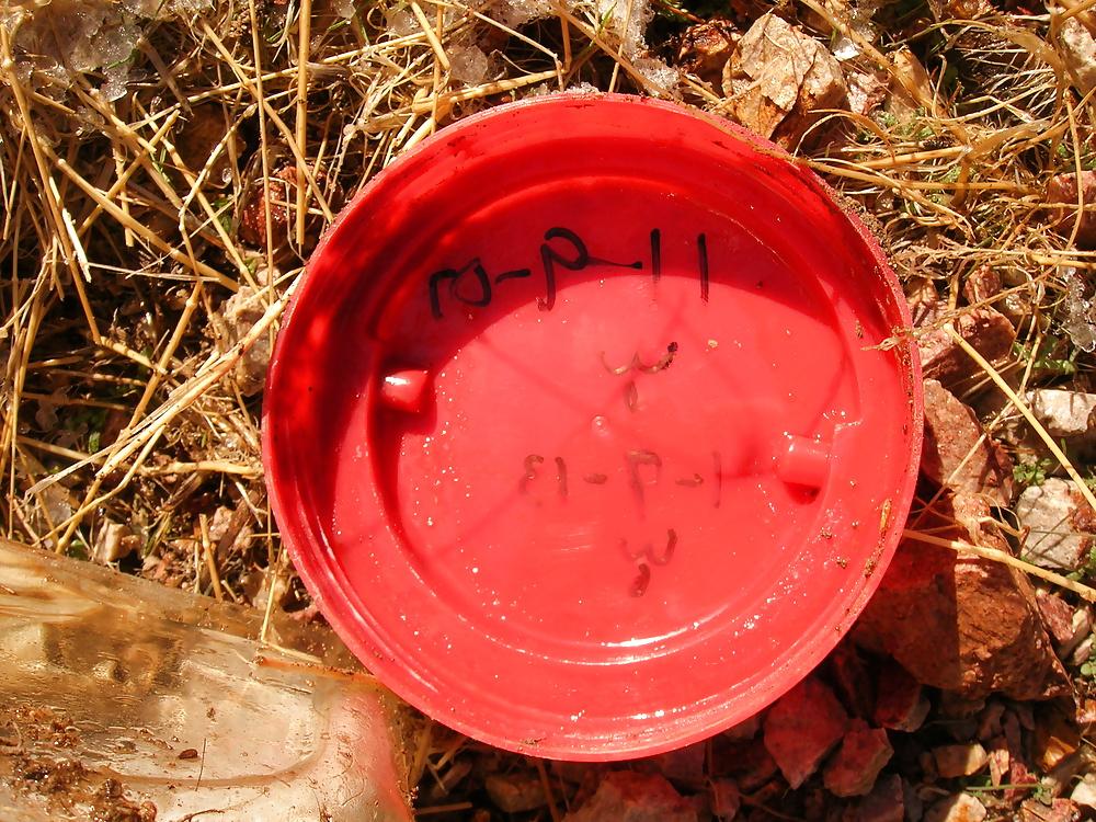 25P Items found in my desert travels 
