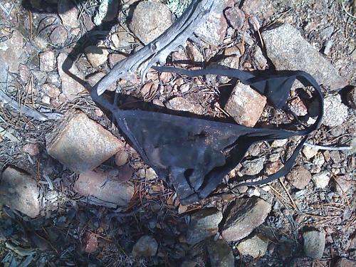 25P Items found in my desert travels 