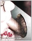25P Females at the gloryhole