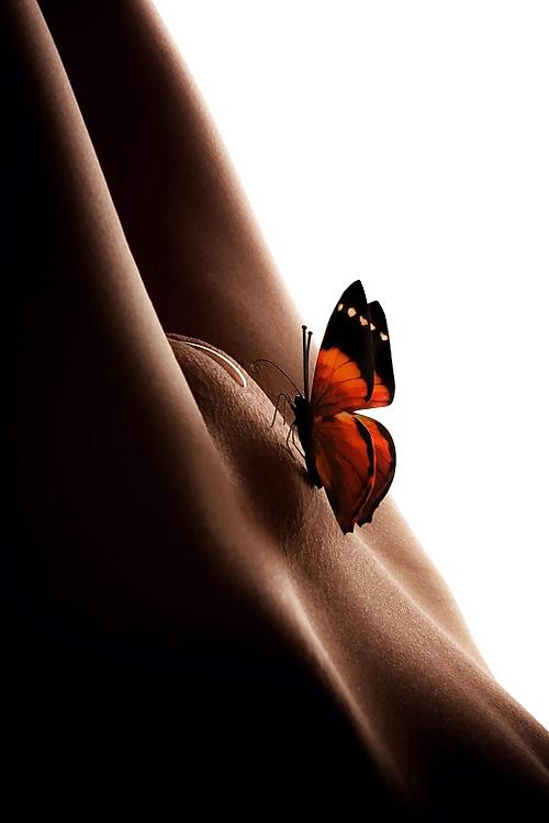 25P Arte Erotica