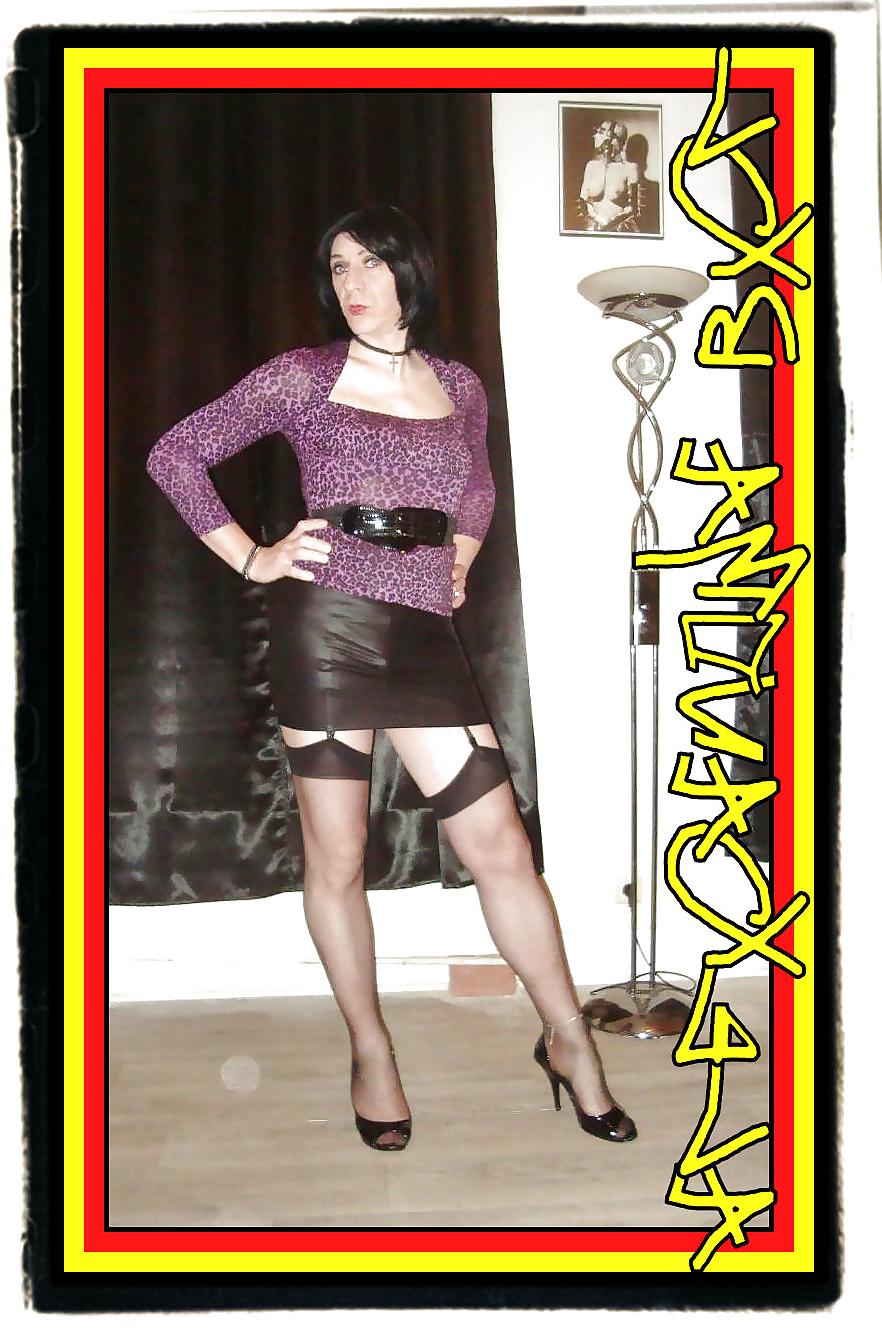 24P SLUT STABLE MEMBERS ART 2014