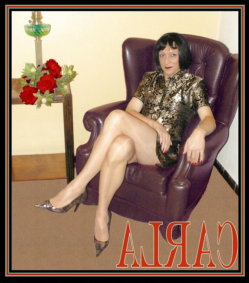 24P SLUT STABLE MEMBERS ART 2014