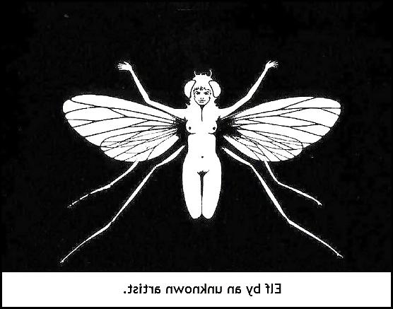 25P Egi's  Museum of Erotic Art - Room 2