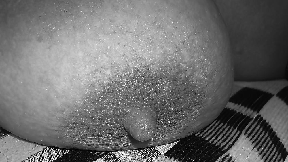 25P The art of tits