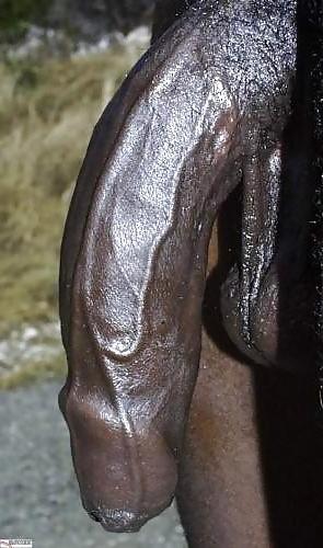 15P I love black cock (BBC)