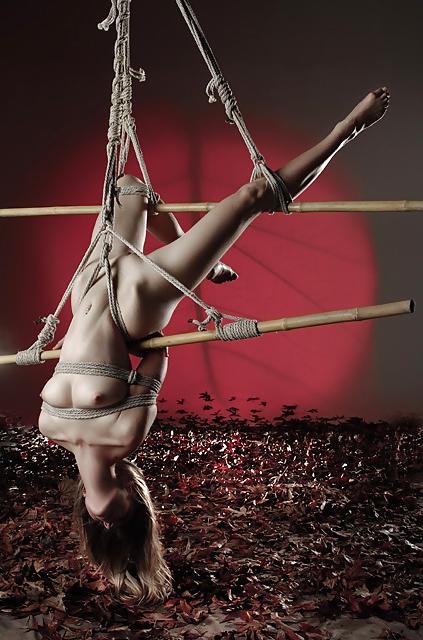 25P Art shibari