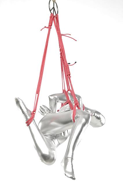 25P Art shibari