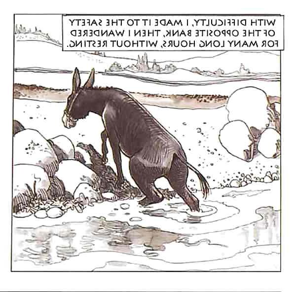 25P Erotic Comic Art  18 - The Golden Ass 2