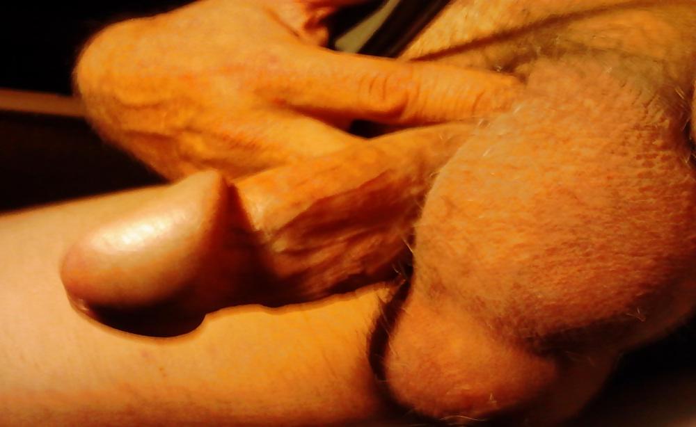 17P Here Is My Cock At Chin Level Suck Me Dry Bitch!