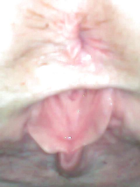 22P Bi female 3 sums , teens 